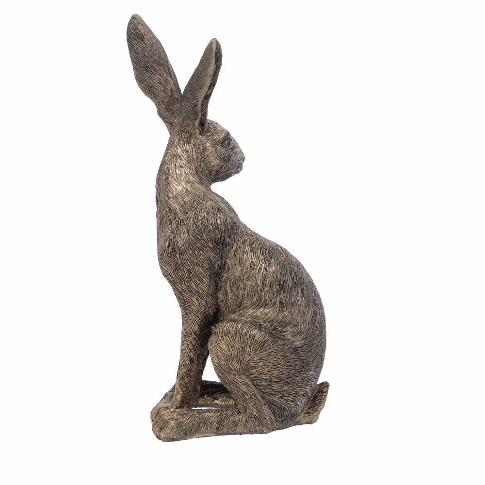 Sitting golden Hare