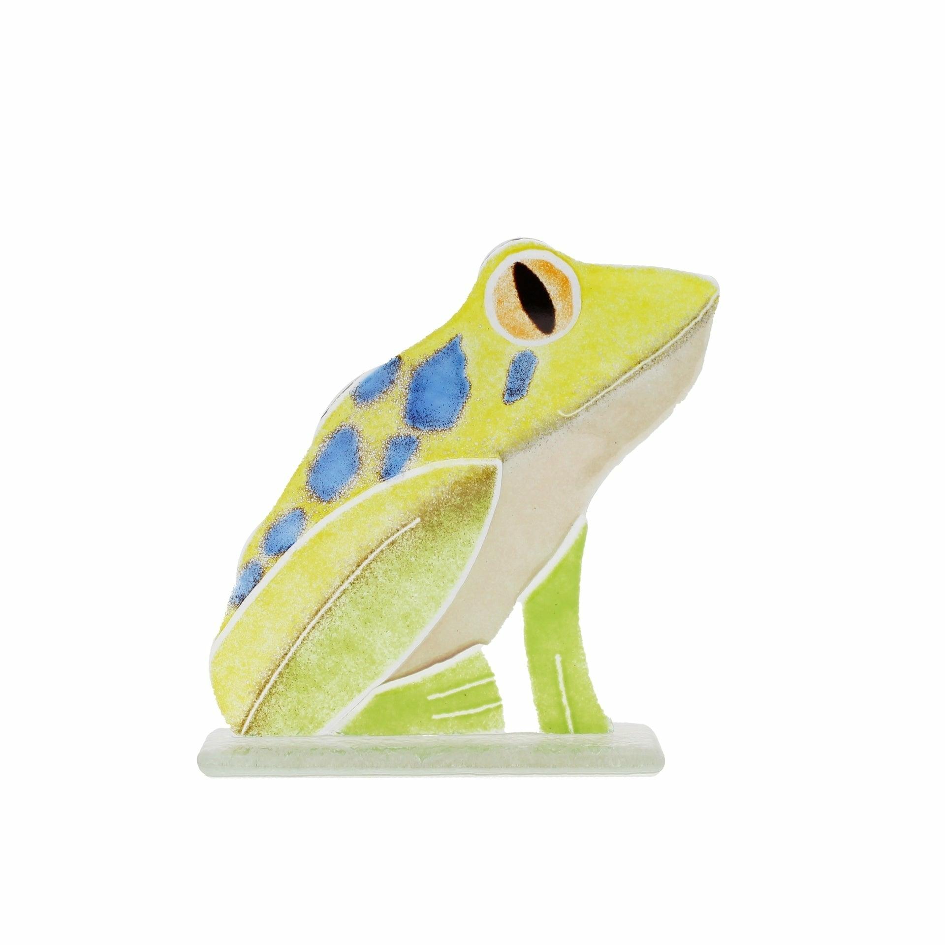 Spot the Glass Frog