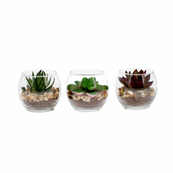 Three different varieties of artificial succulents in round glass bowls with pebble bases