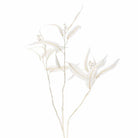 White Eucalyptus Spray
